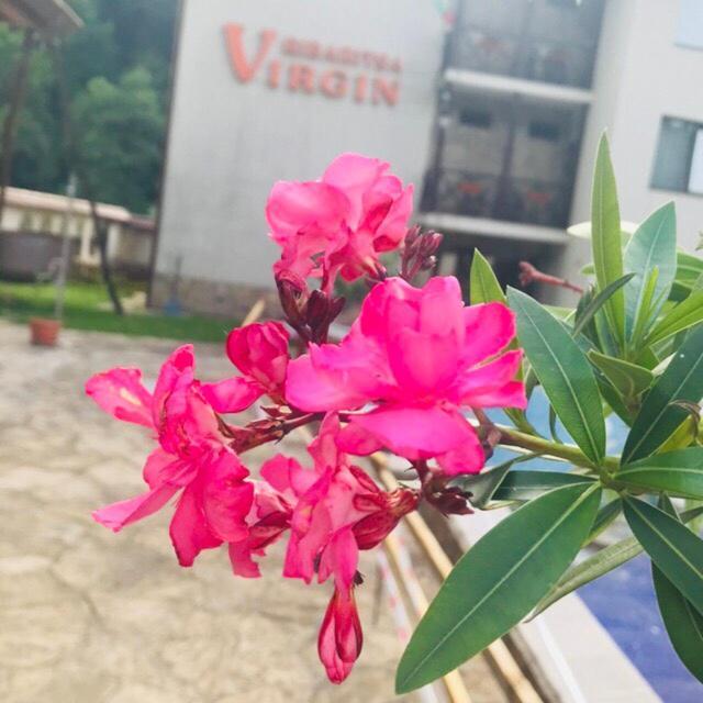 Family Hotel Virgin リバリツァ エクステリア 写真
